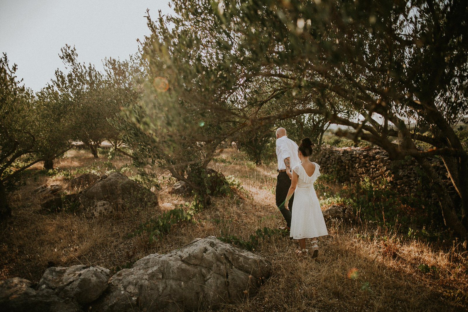 couple in olive trees on island Hvar