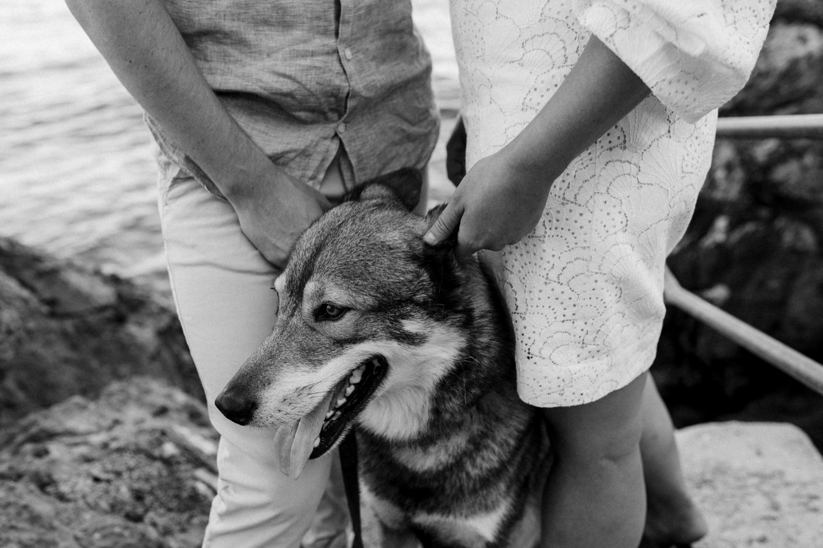 engaged couple with dog by the Adriatic sea in Volosko