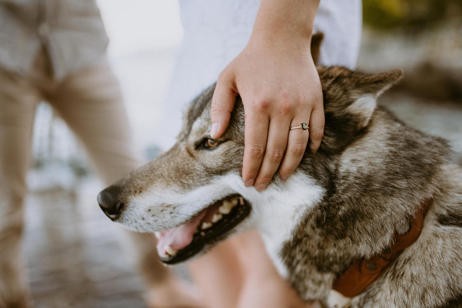 engaged couple with dog by the Adriatic sea in Volosko
